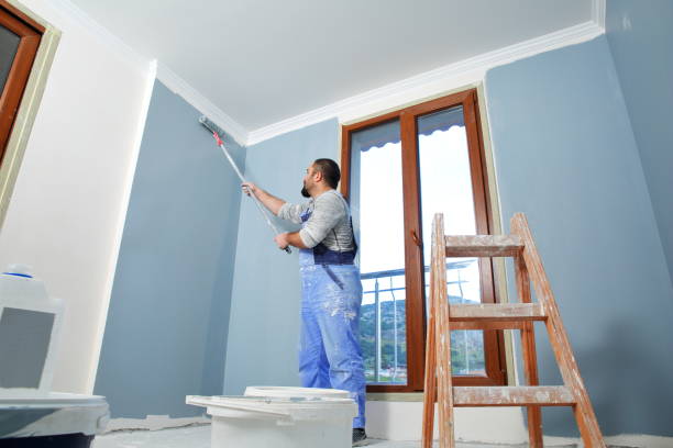 Best Post-Construction Mold Inspection  in Caon City, CO