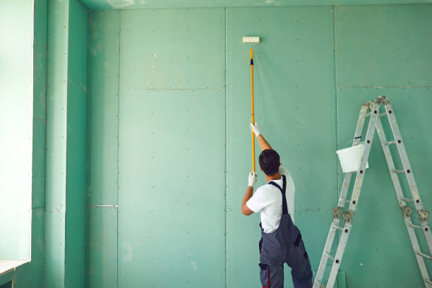 Mold Odor Removal Services in Caon City, CO