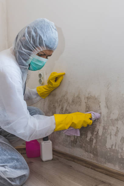 Best Air Quality Testing for Mold Spores  in Caon City, CO