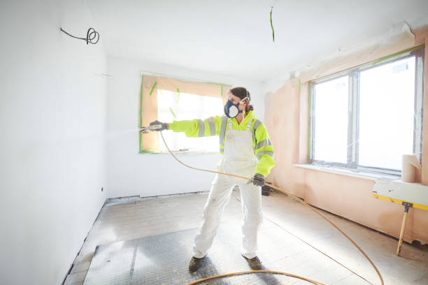 Best Black Mold Removal  in Caon City, CO