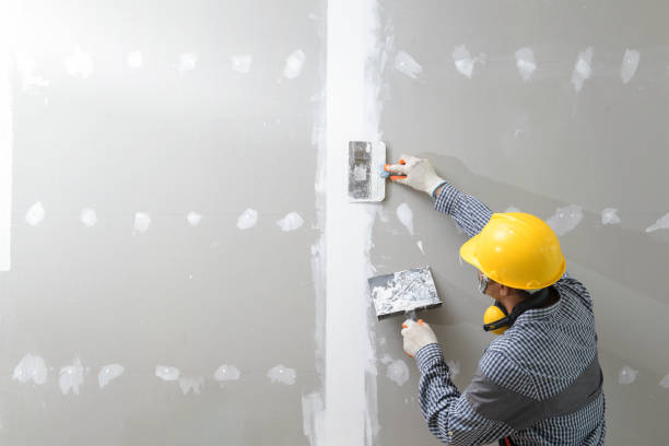 Trusted Caon City, CO Mold Removal Experts