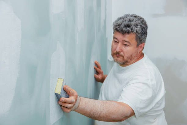 Best Real Estate Mold Inspection  in Caon City, CO